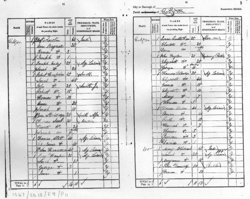 1841 Census entry for Ann Bagnall Household